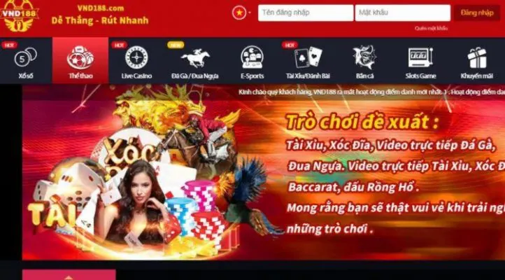 Hướng dẫn Bet88 - Bắt đầu từ thông tin bạn thực sự cần